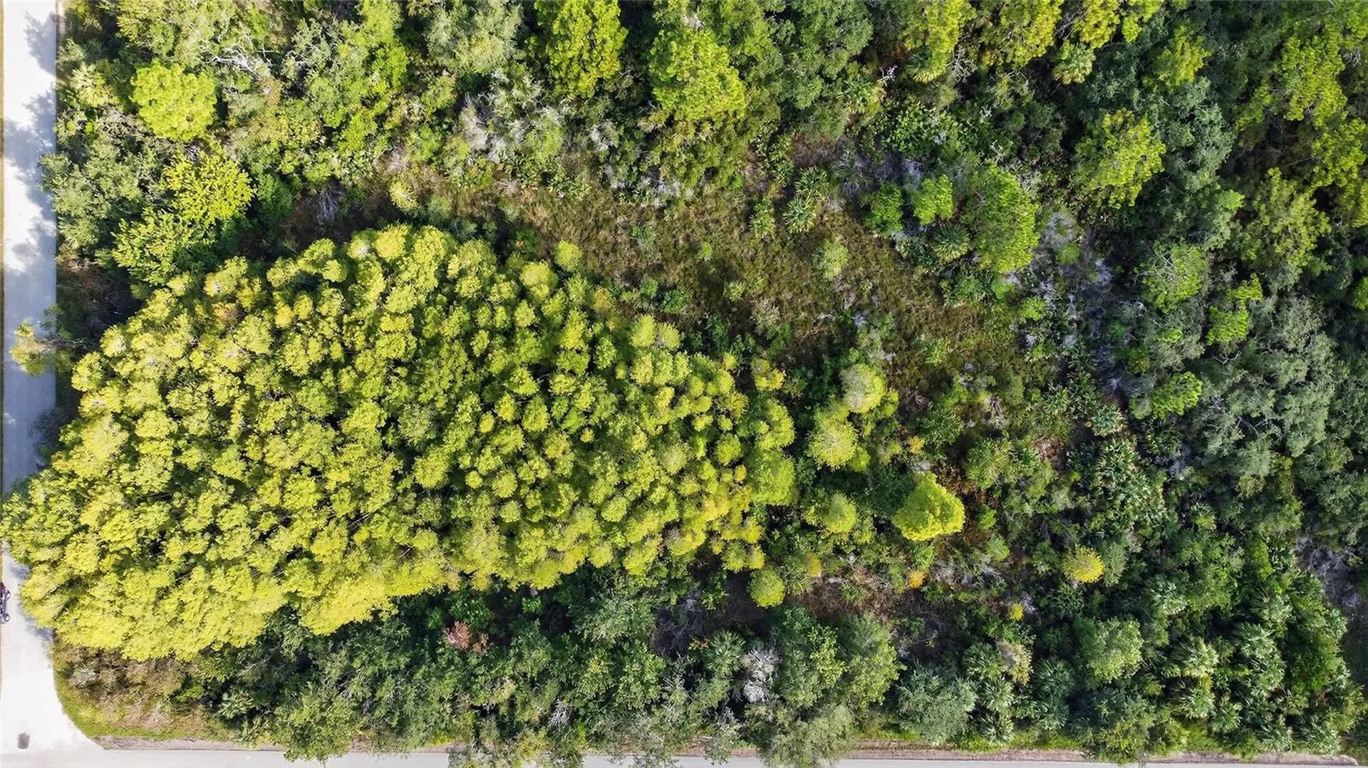 17010 Ridgeline Trail Hudson FL 34667