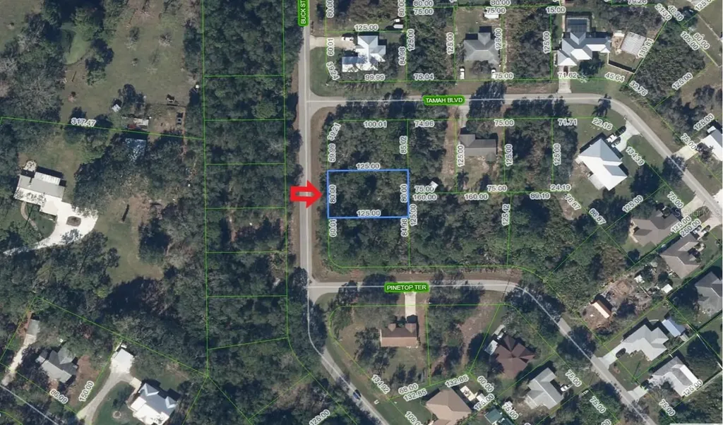 1541 Buck Street Lake Placid FL 33852