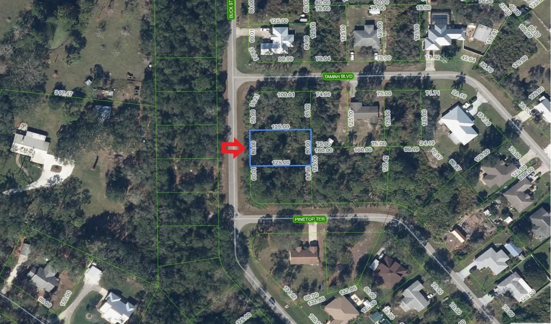 1541 Buck Street Lake Placid FL 33852