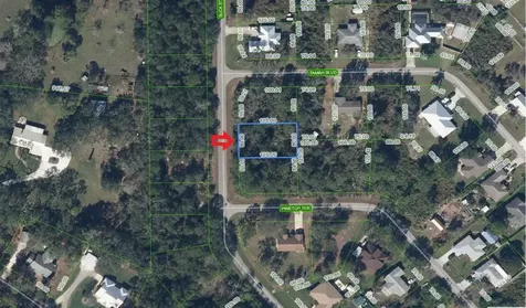 1541 Buck Street Lake Placid FL 33852