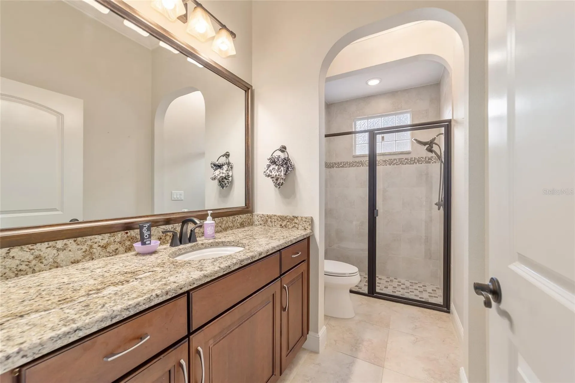 3907 SE 10th Avenue Ocala FL 34480