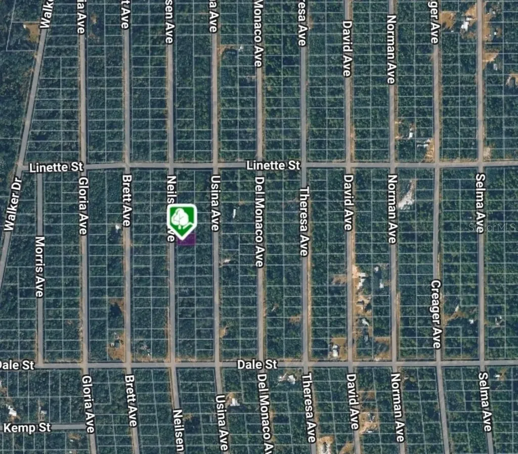 Lot 7 Neilsen Avenue Interlachen FL 32148