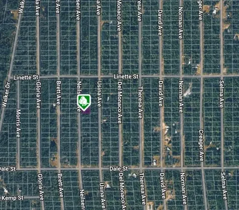 Lot 7 Neilsen Avenue Interlachen FL 32148