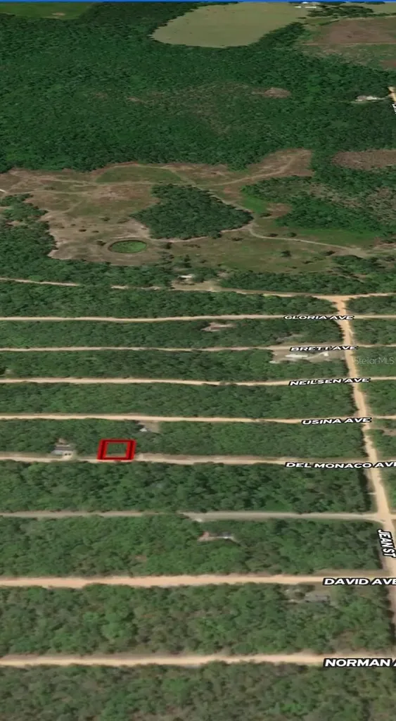 Lot 28 Del Monaco Avenue Interlachen FL 32148
