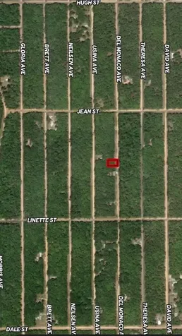 Lot 28 Del Monaco Avenue Interlachen FL 32148
