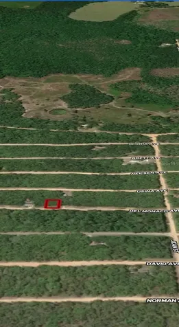 Lot 28 Del Monaco Avenue Interlachen FL 32148