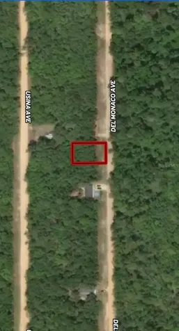 Lot 28 Del Monaco Avenue Interlachen FL 32148