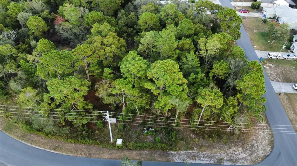 3300 Alcan Avenue Spring Hill FL 34608