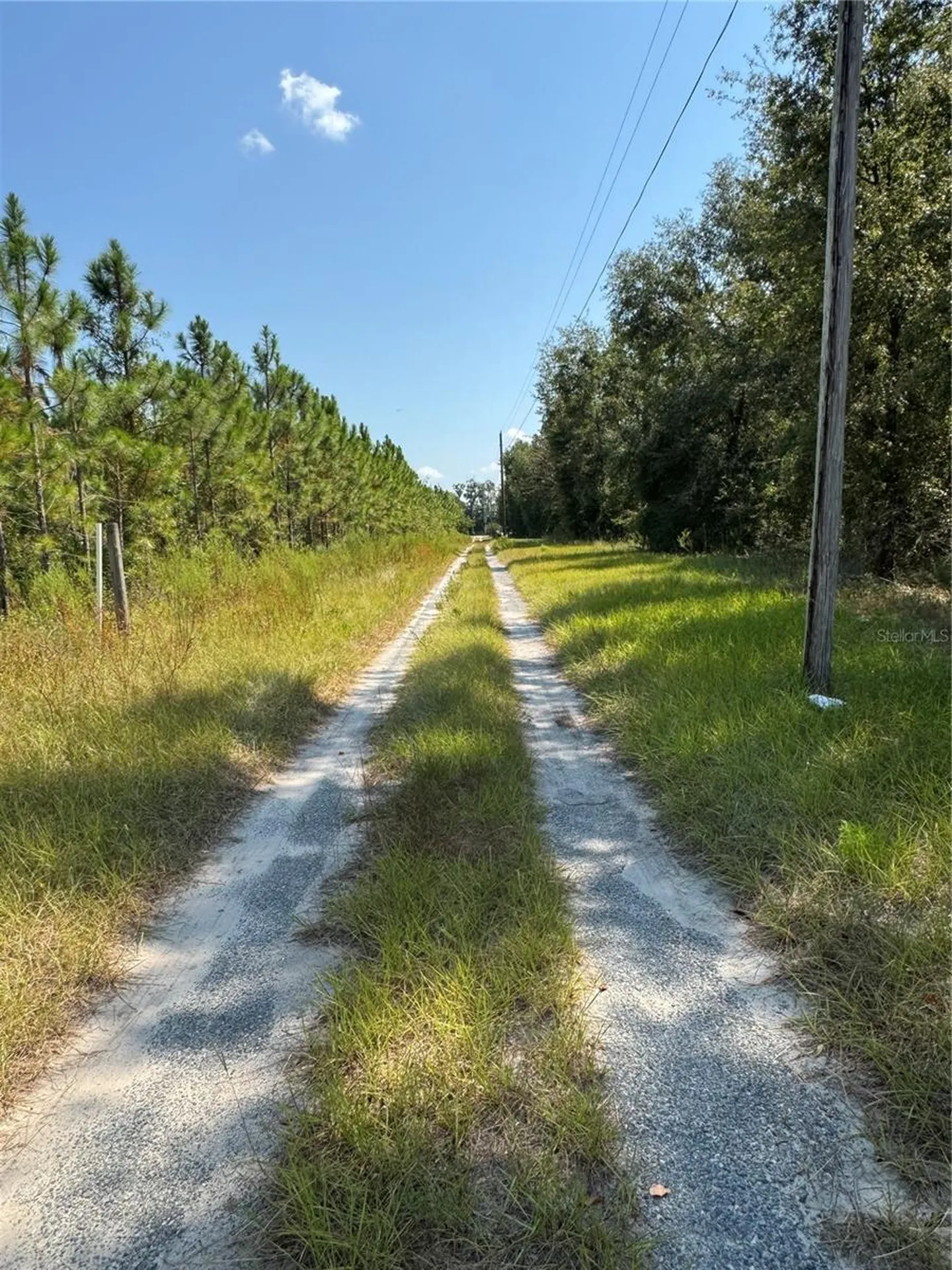 6001 185th Road Live Oak FL 32060