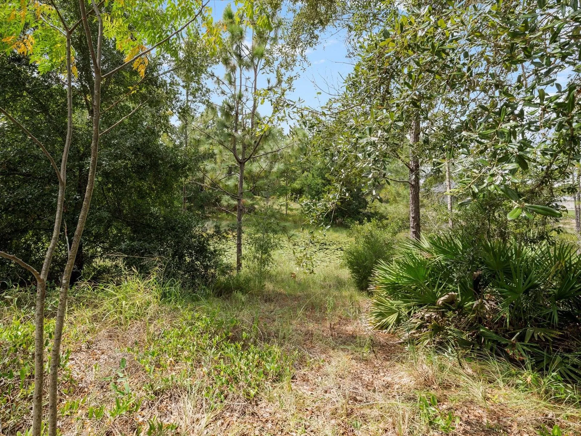 4219 Surfside Circle Spring Hill FL 34606