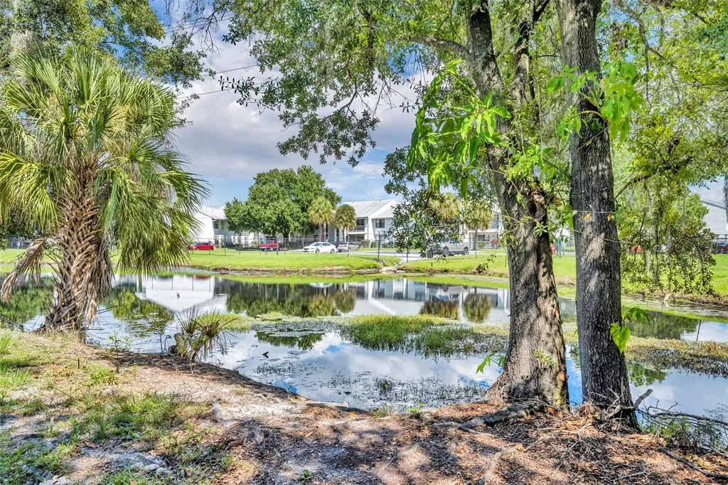 5089 Eaglesmere Drive Orlando FL 32819