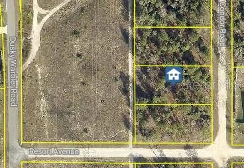 14167 Condor Road Brooksville FL 34614