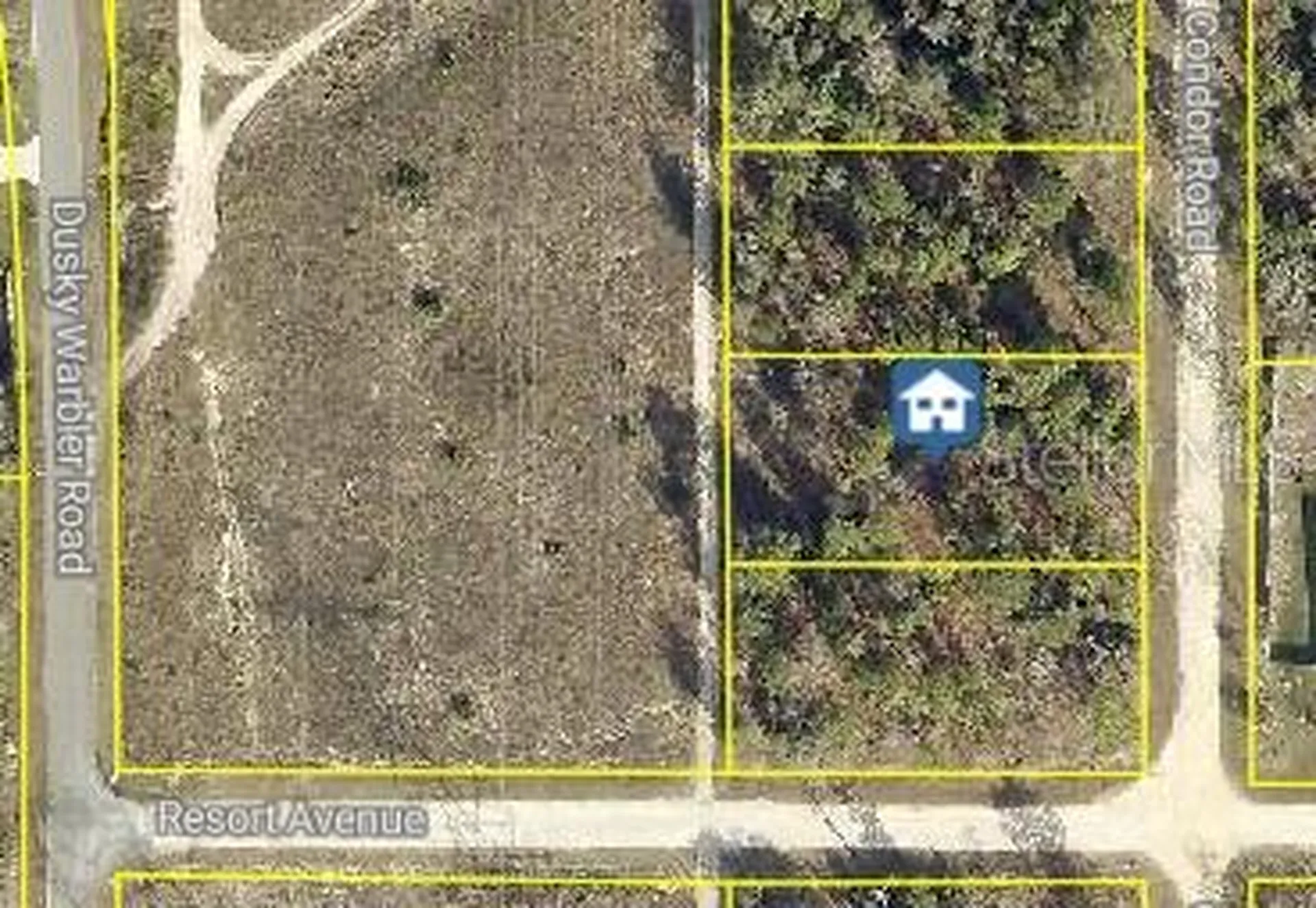 14167 Condor Road Brooksville FL 34614