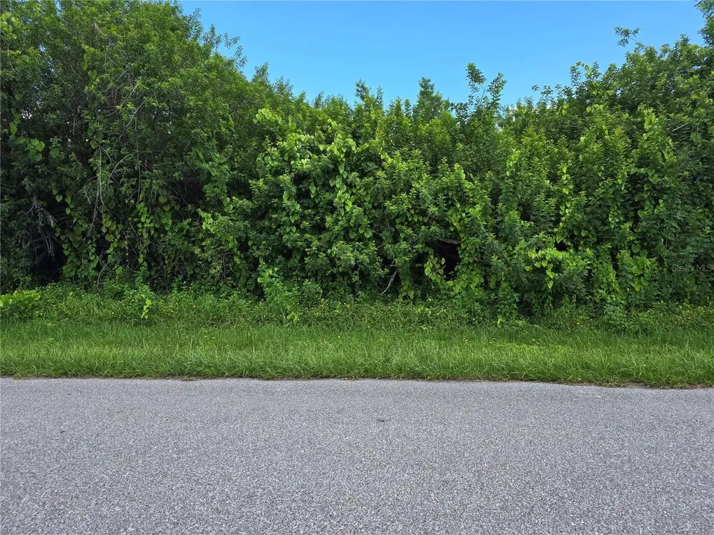167 Lenoir Street NW Port Charlotte FL 33948