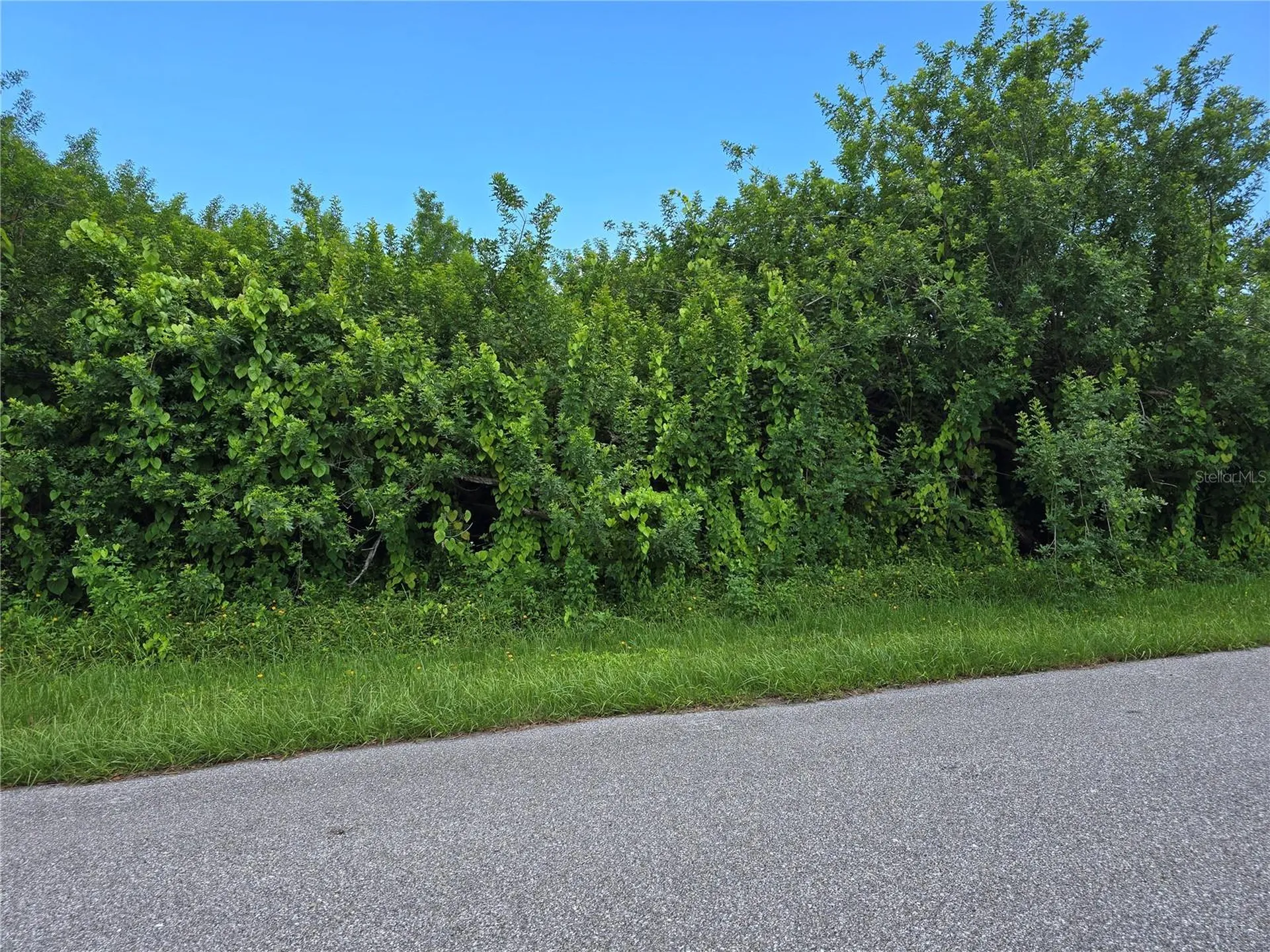 167 Lenoir Street NW Port Charlotte FL 33948