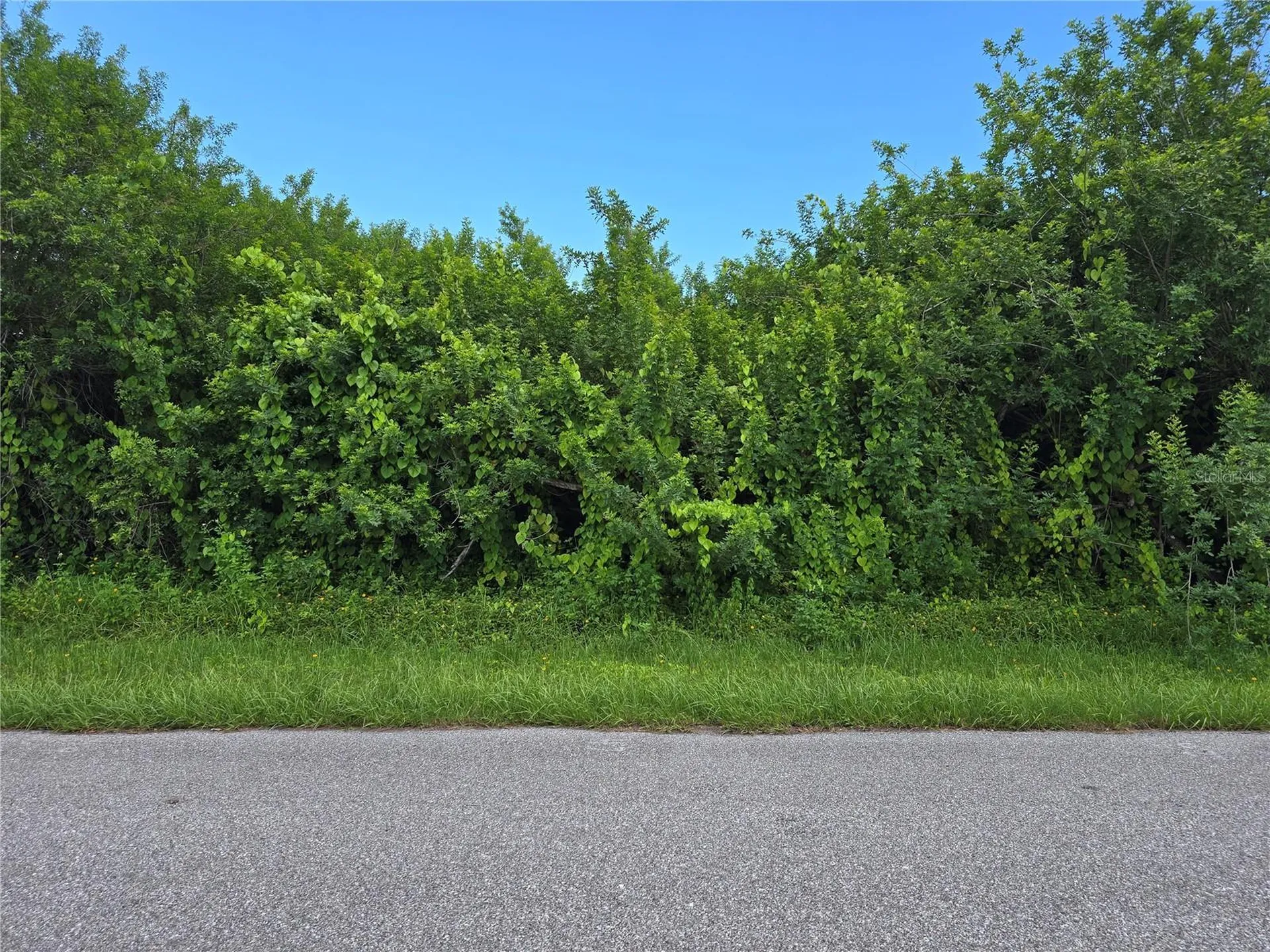 167 Lenoir Street NW Port Charlotte FL 33948
