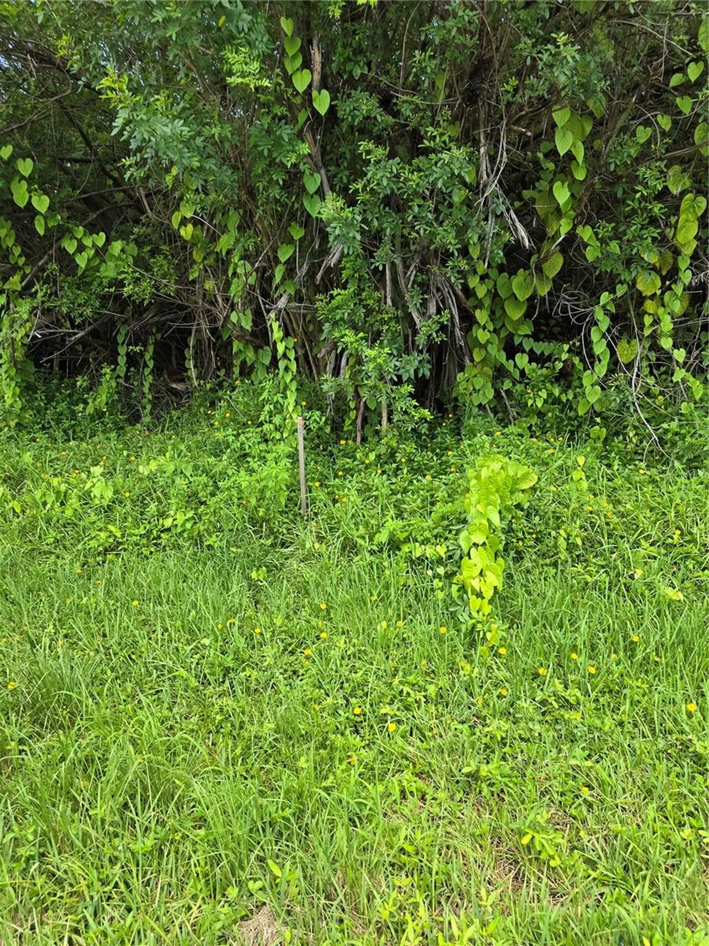 167 Lenoir Street NW Port Charlotte FL 33948