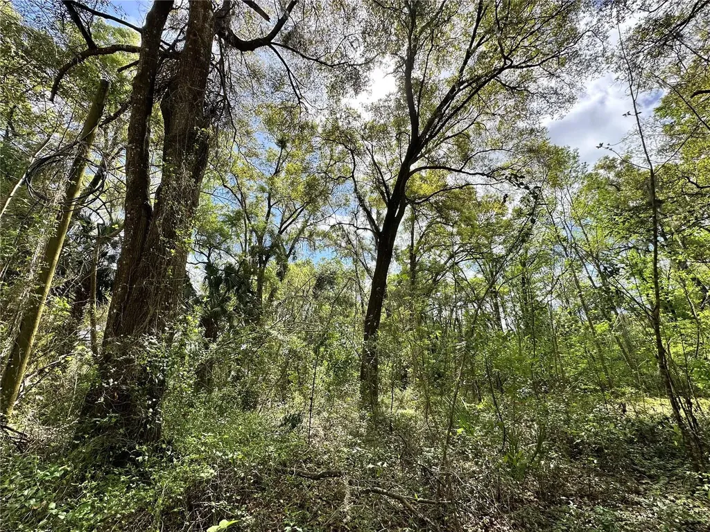 Tbd SW 5th Lane Ocala FL 34481