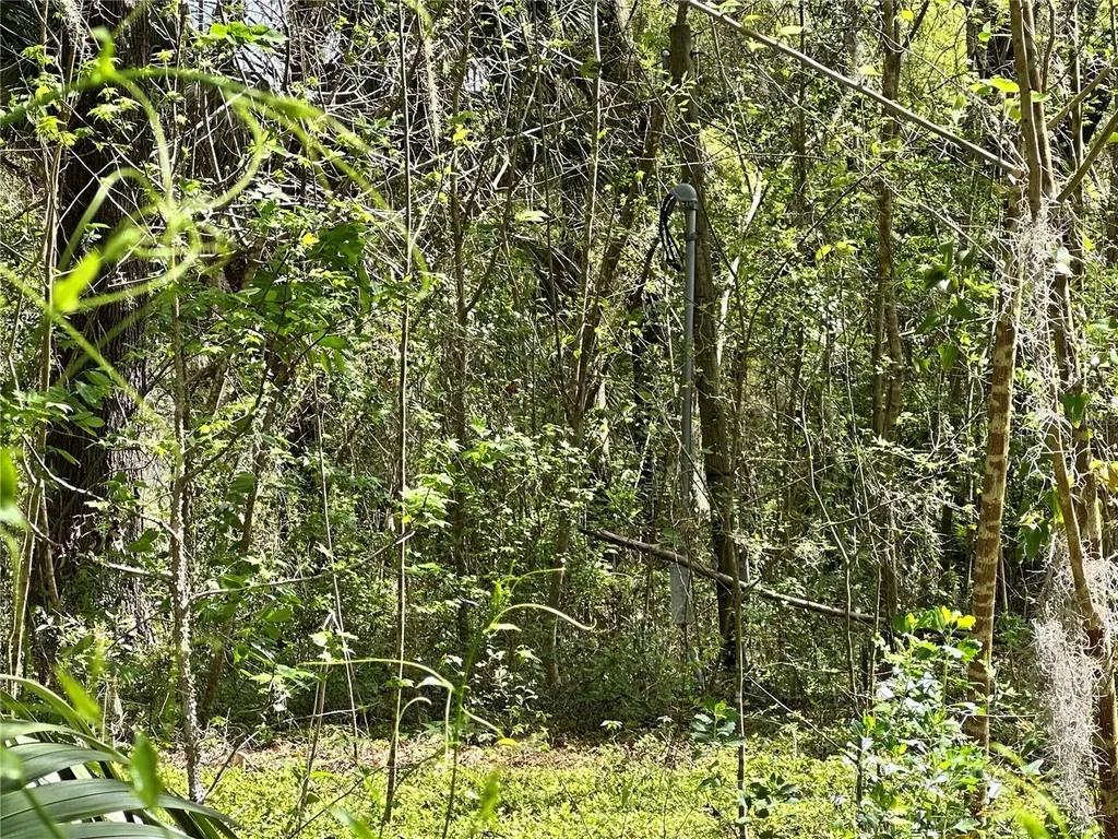 Tbd SW 5th Lane Ocala FL 34481