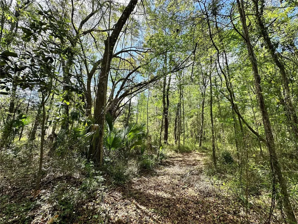 Tbd SW 5th Lane Ocala FL 34481