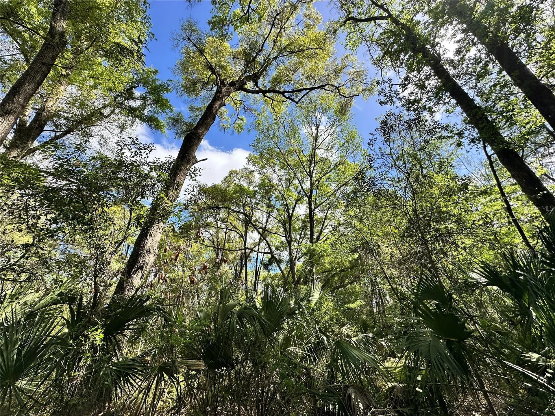 Tbd SW 5th Lane Ocala FL 34481