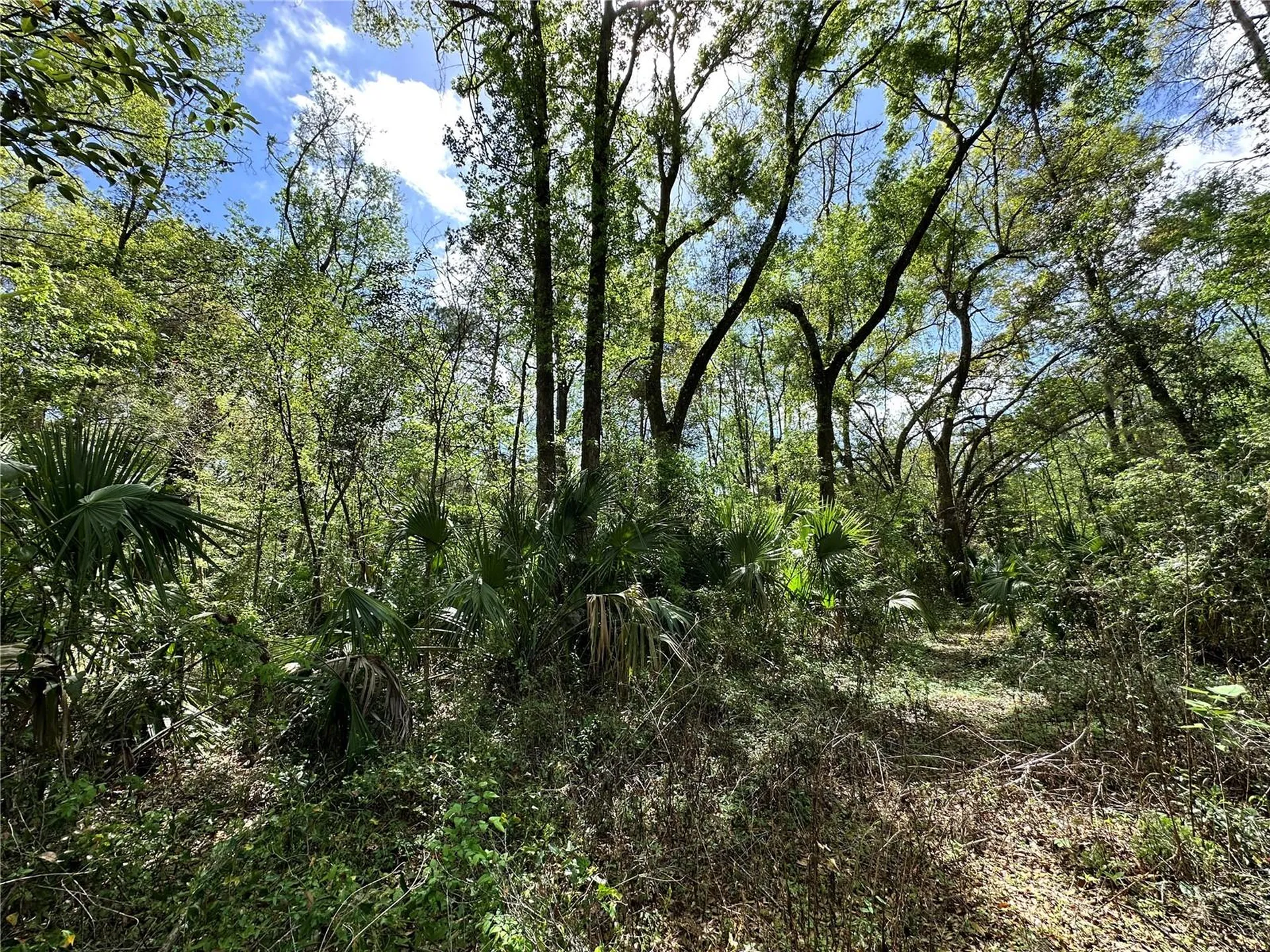 Tbd SW 5th Lane Ocala FL 34481