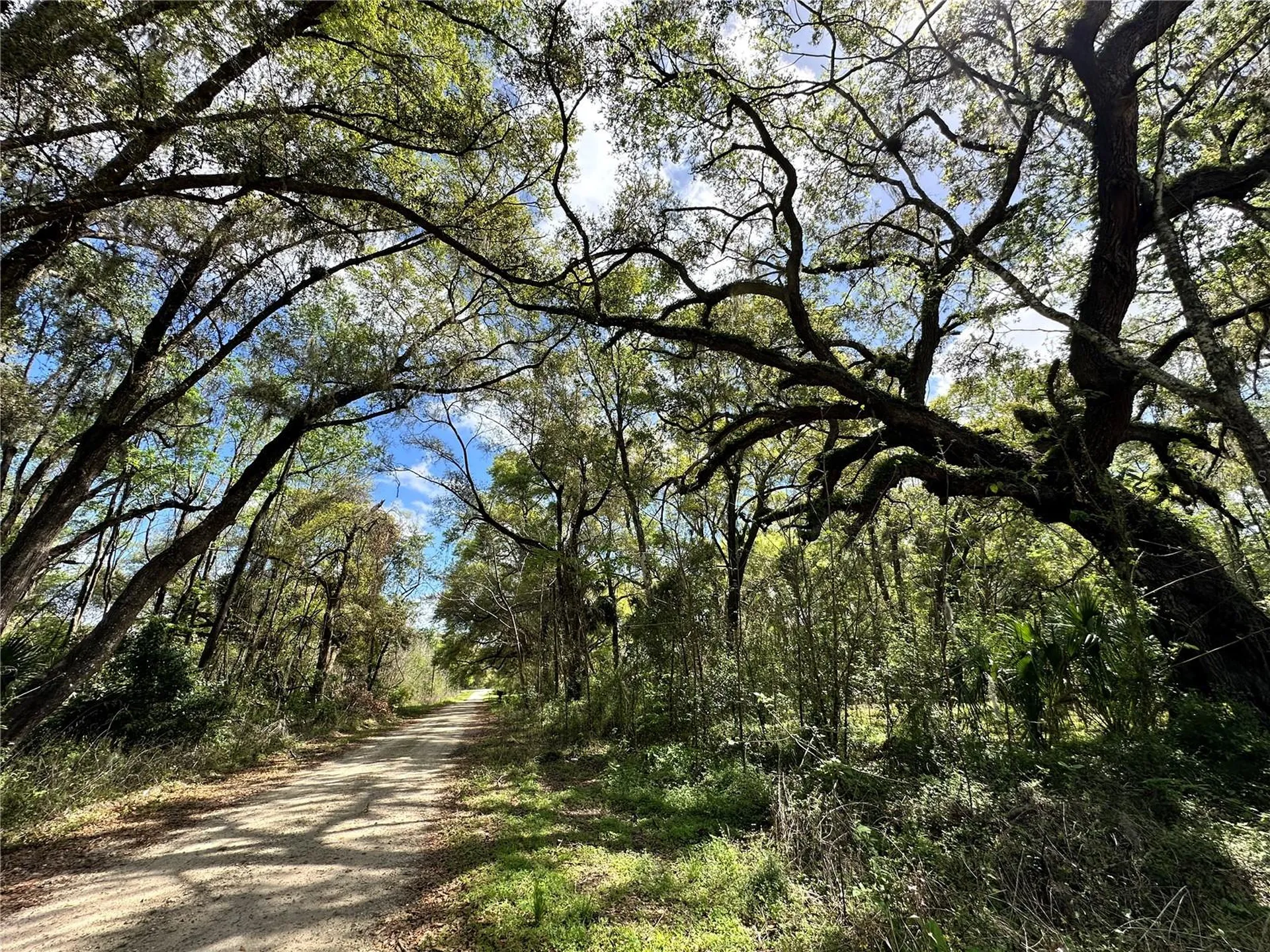 Tbd SW 5th Lane Ocala FL 34481
