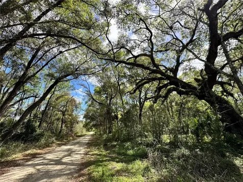 Tbd SW 5th Lane Ocala FL 34481