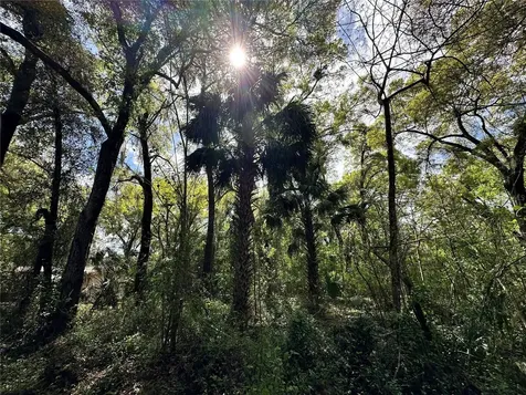 Tbd SW 5th Lane Ocala FL 34481