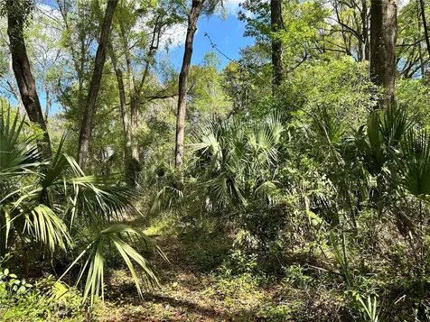 Tbd SW 5th Lane Ocala FL 34481