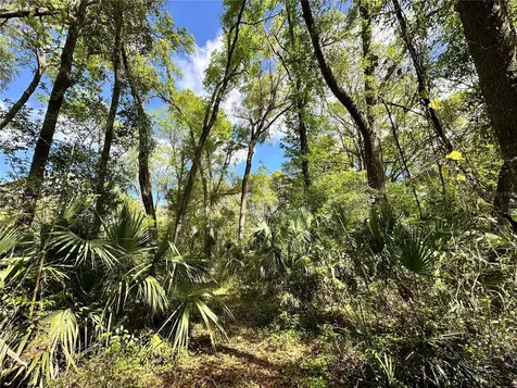 Tbd SW 5th Lane Ocala FL 34481