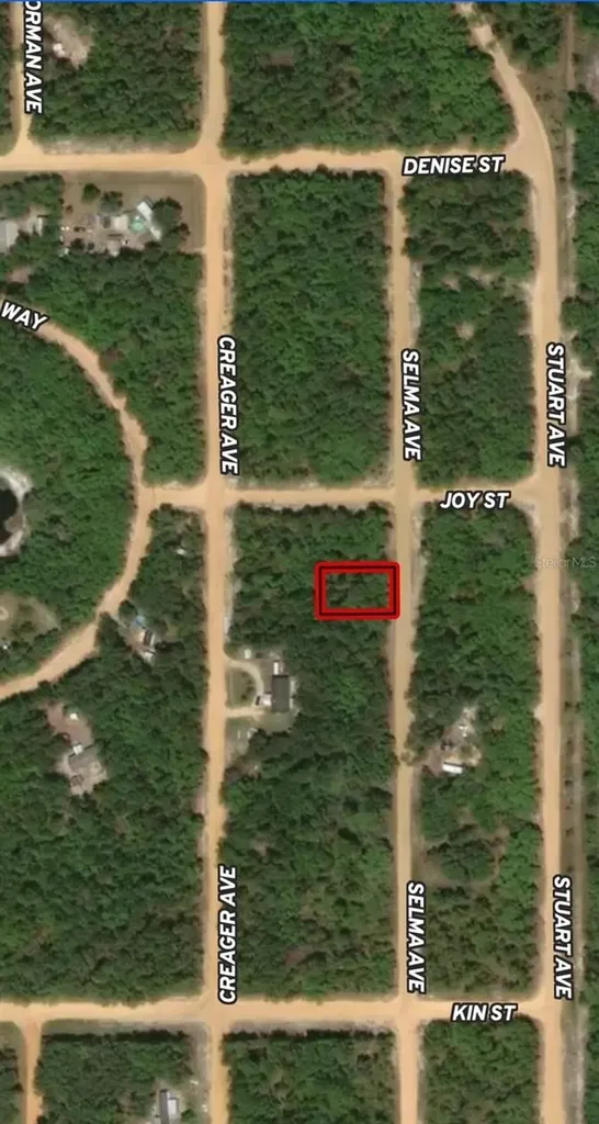 Lot 19 Selma Avenue Interlachen FL 32148