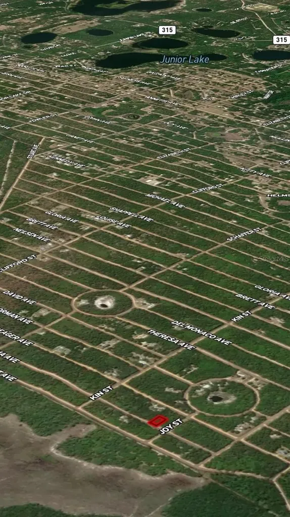 Lot 19 Selma Avenue Interlachen FL 32148