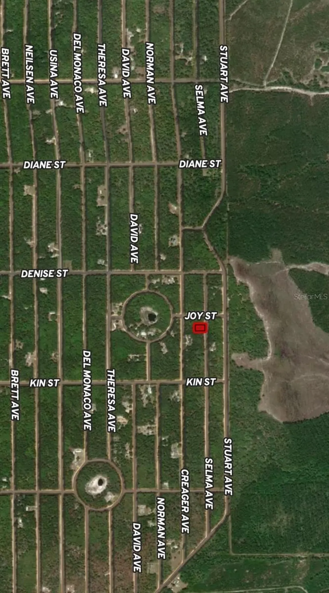 Lot 19 Selma Avenue Interlachen FL 32148