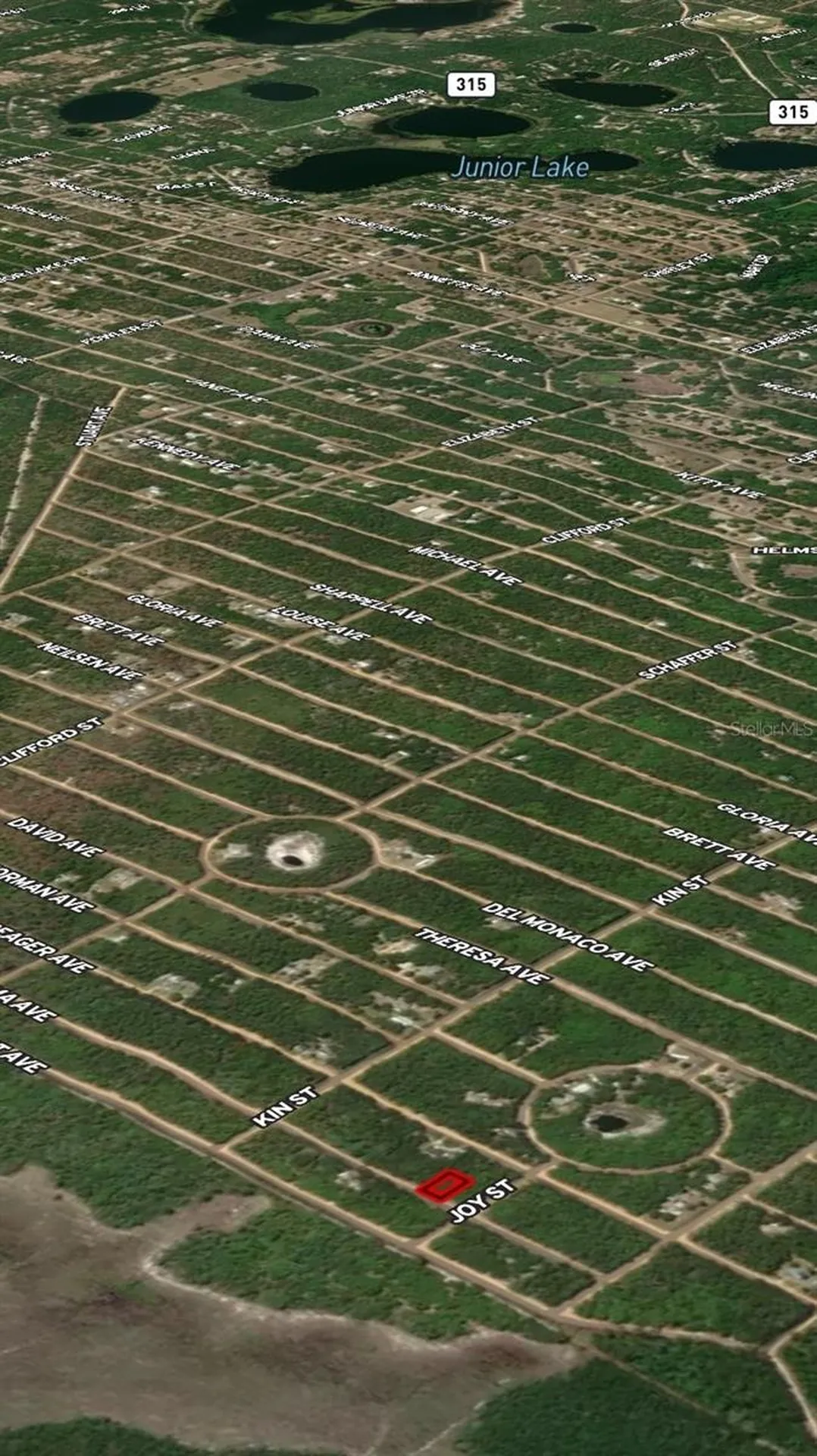 Lot 19 Selma Avenue Interlachen FL 32148