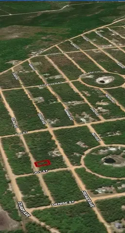 Lot 19 Selma Avenue Interlachen FL 32148