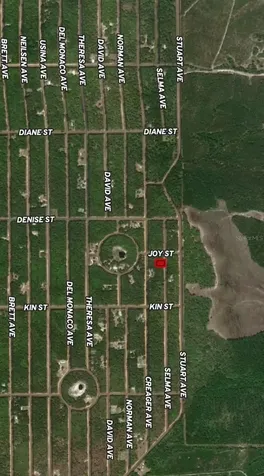 Lot 19 Selma Avenue Interlachen FL 32148