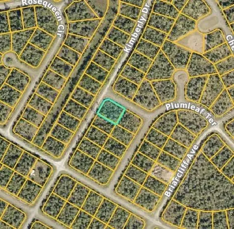 Diels Place North Port FL 34288