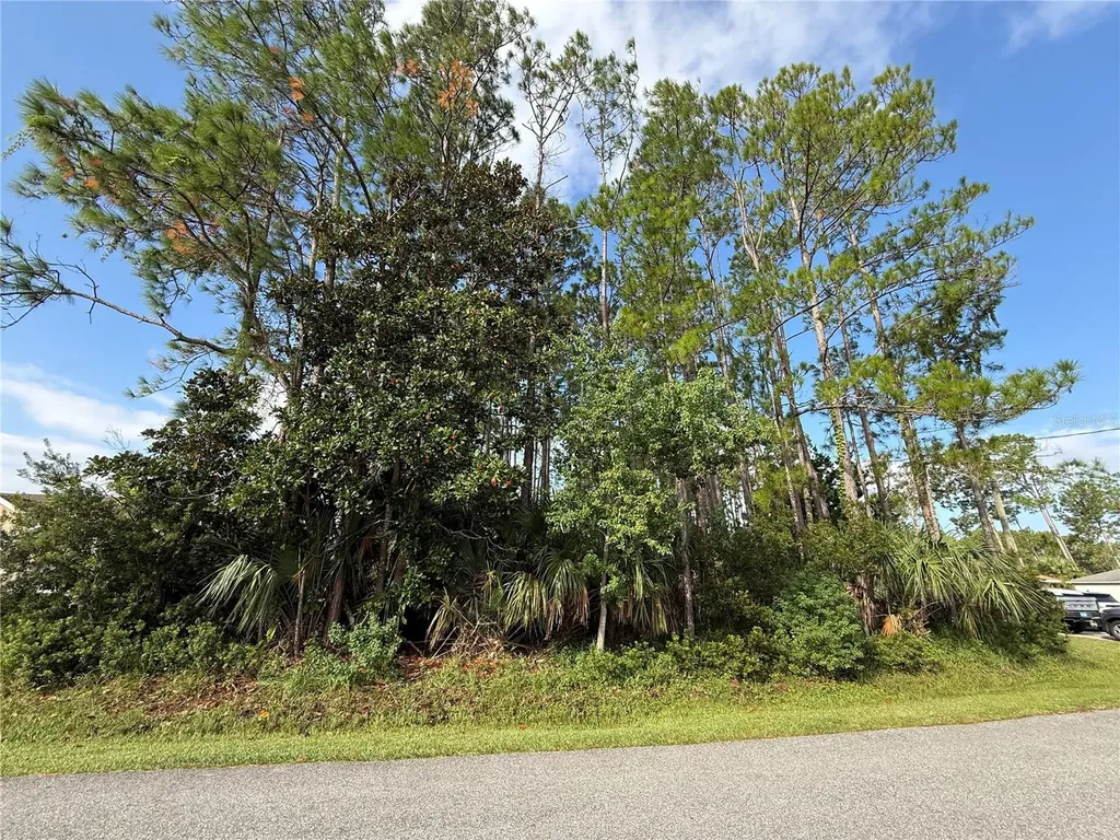 19 Lindberg Lane Palm Coast FL 32137