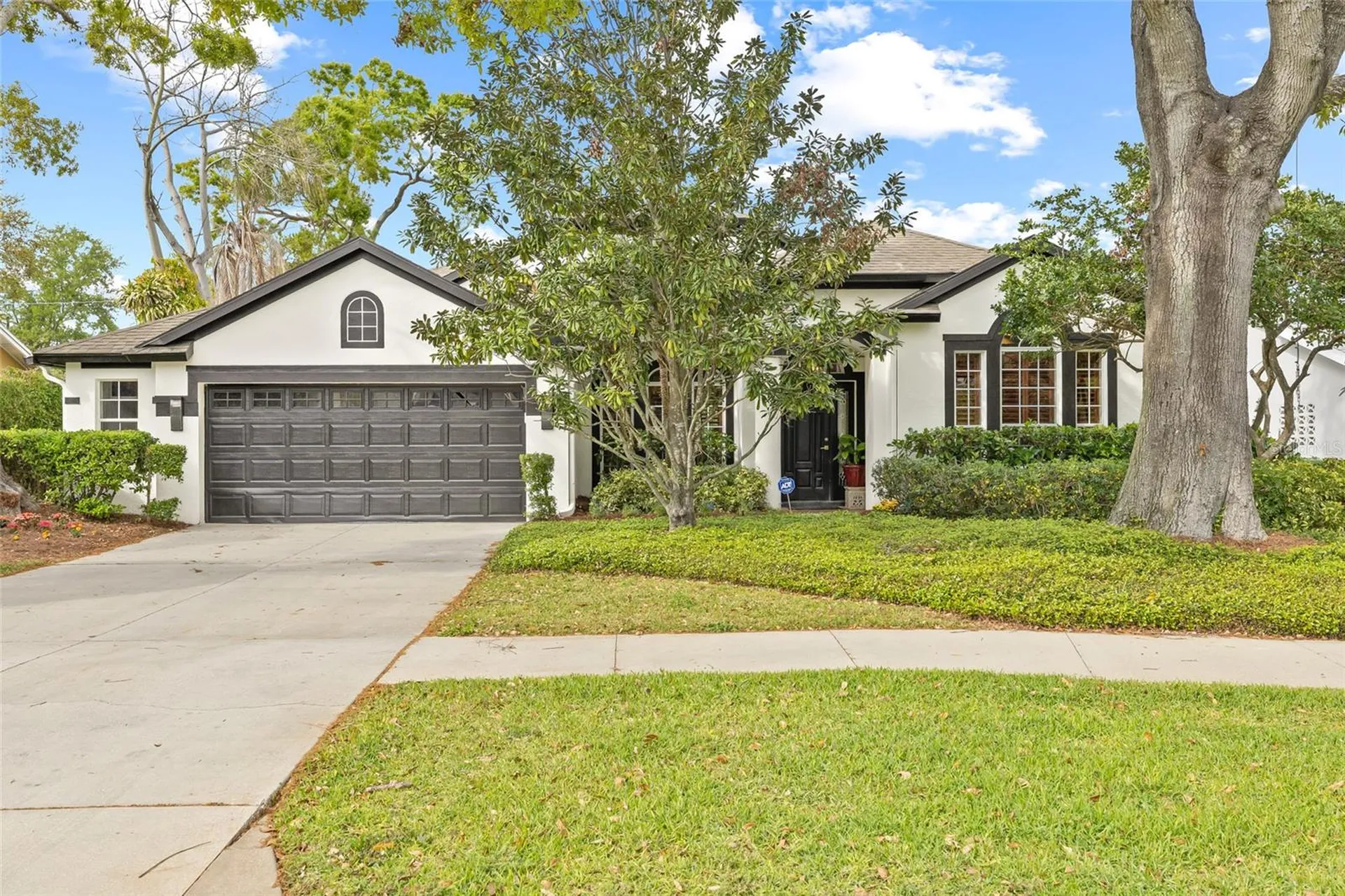 3709 W Horatio Street Tampa FL 33609