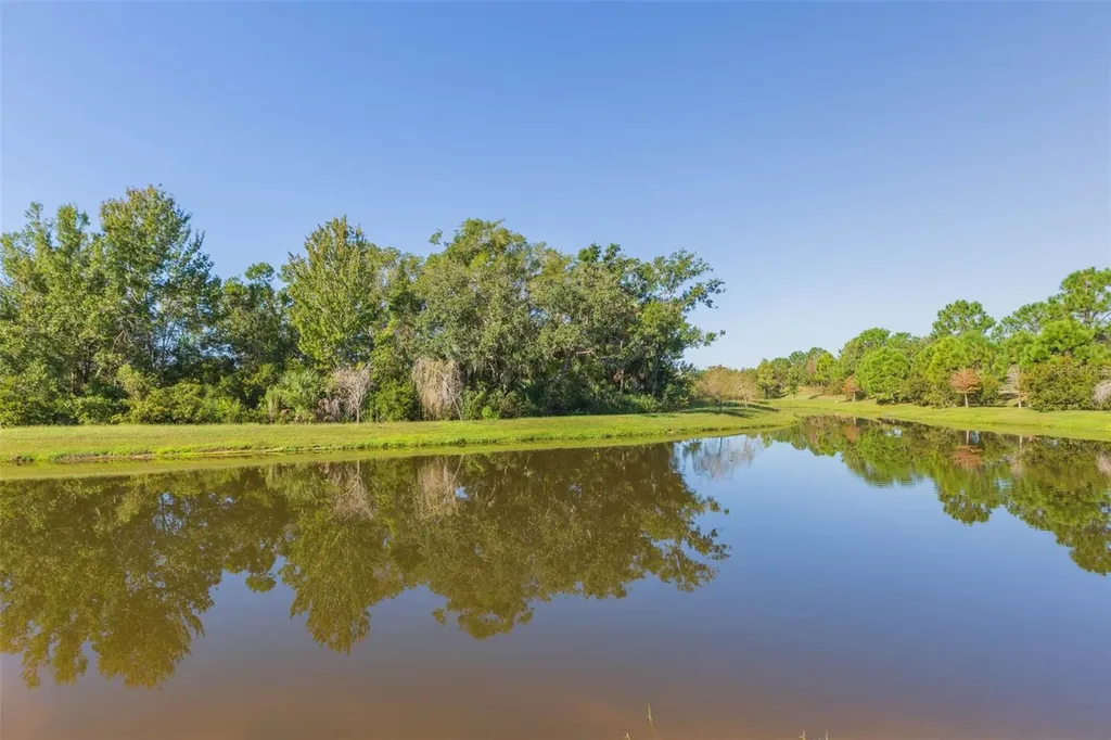 3699 Front Park Drive Wesley Chapel FL 33543