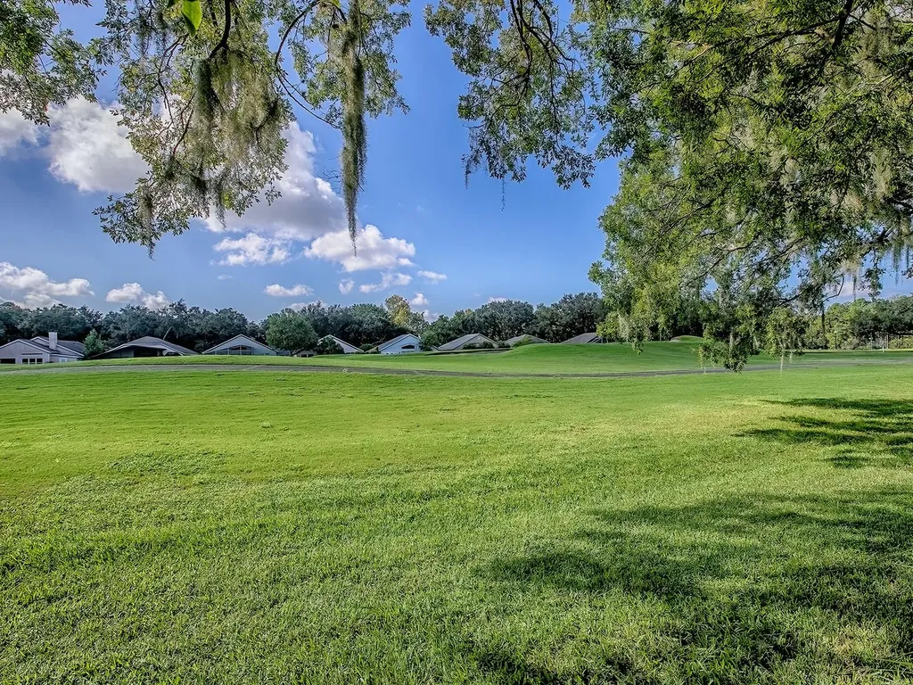 3016 Andover Court Mount Dora FL 32757