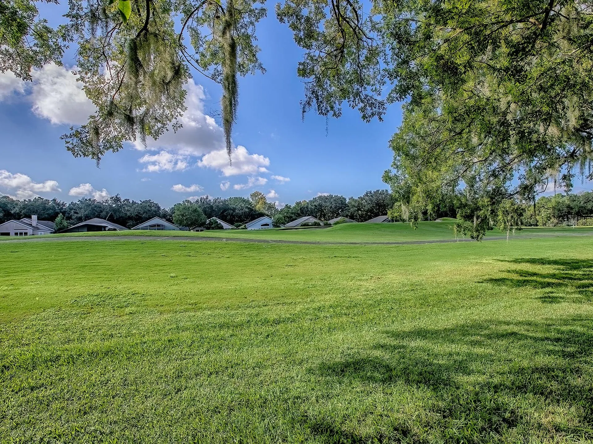 3016 Andover Court Mount Dora FL 32757
