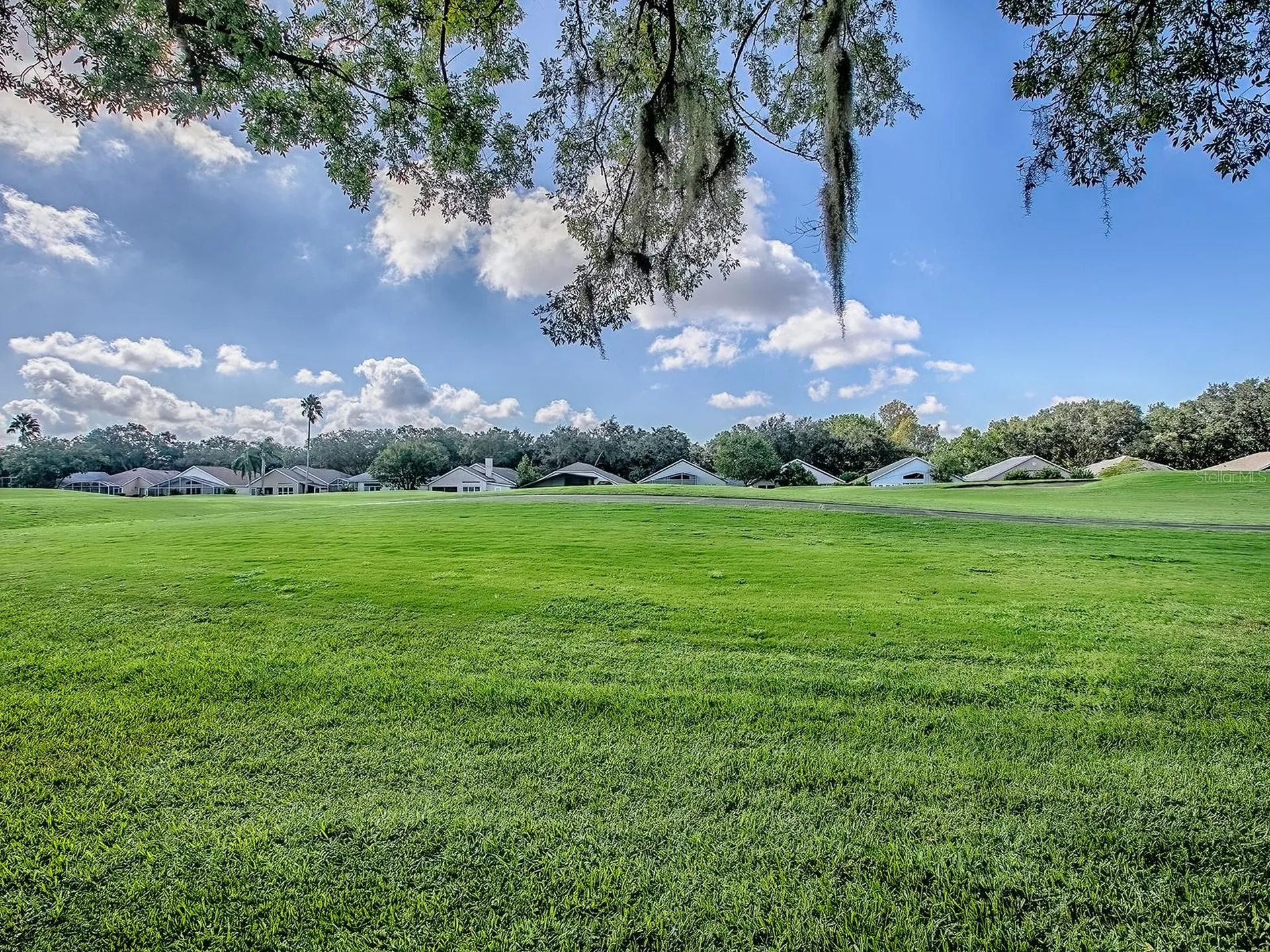 3016 Andover Court Mount Dora FL 32757