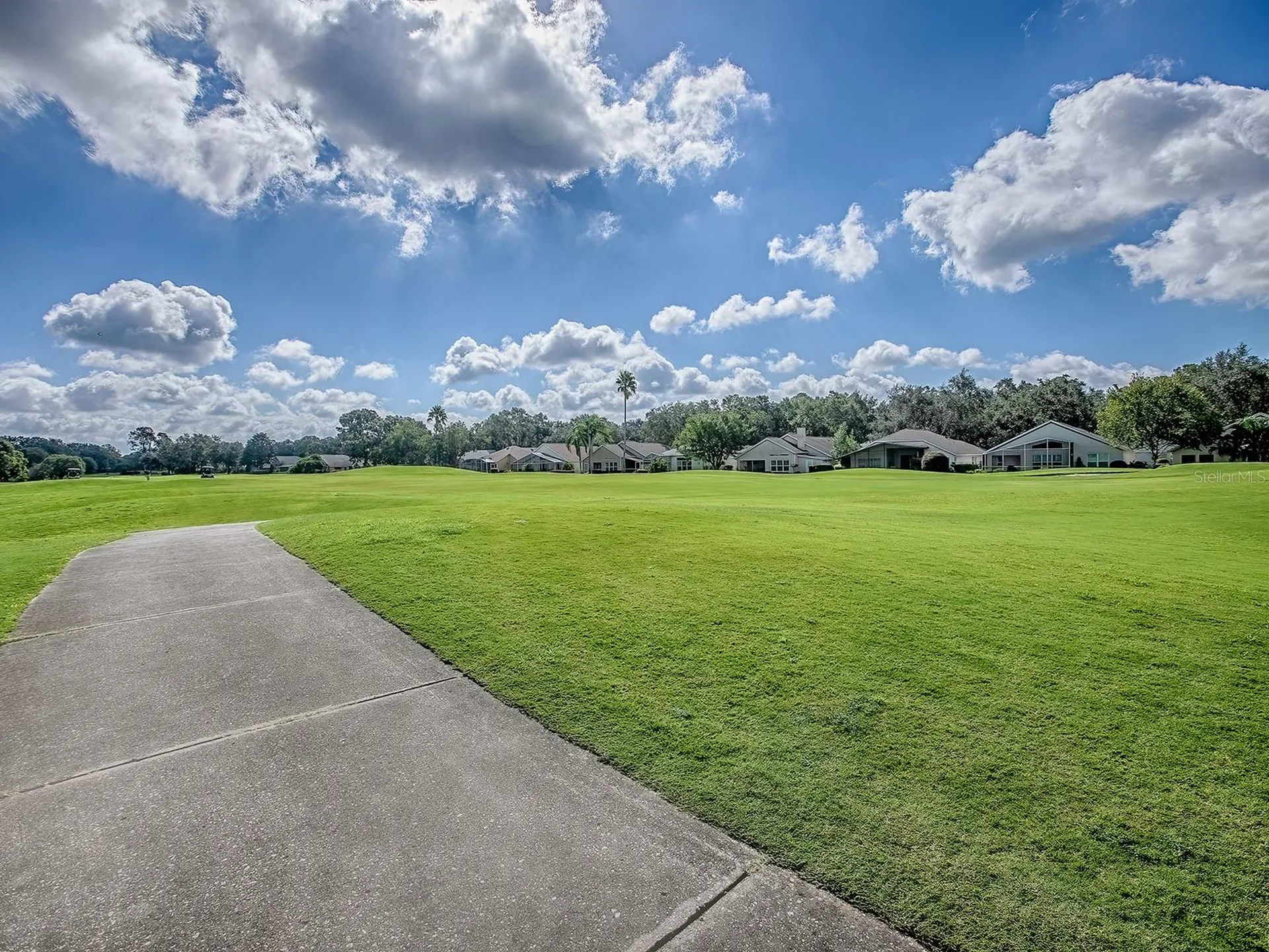 3016 Andover Court Mount Dora FL 32757