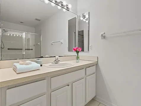 3016 Andover Court Mount Dora FL 32757