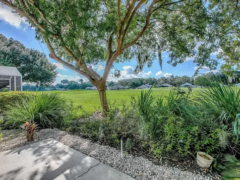 3016 Andover Court Mount Dora FL 32757