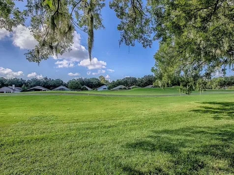 3016 Andover Court Mount Dora FL 32757