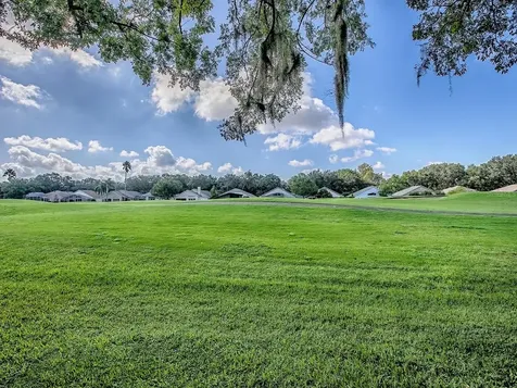 3016 Andover Court Mount Dora FL 32757