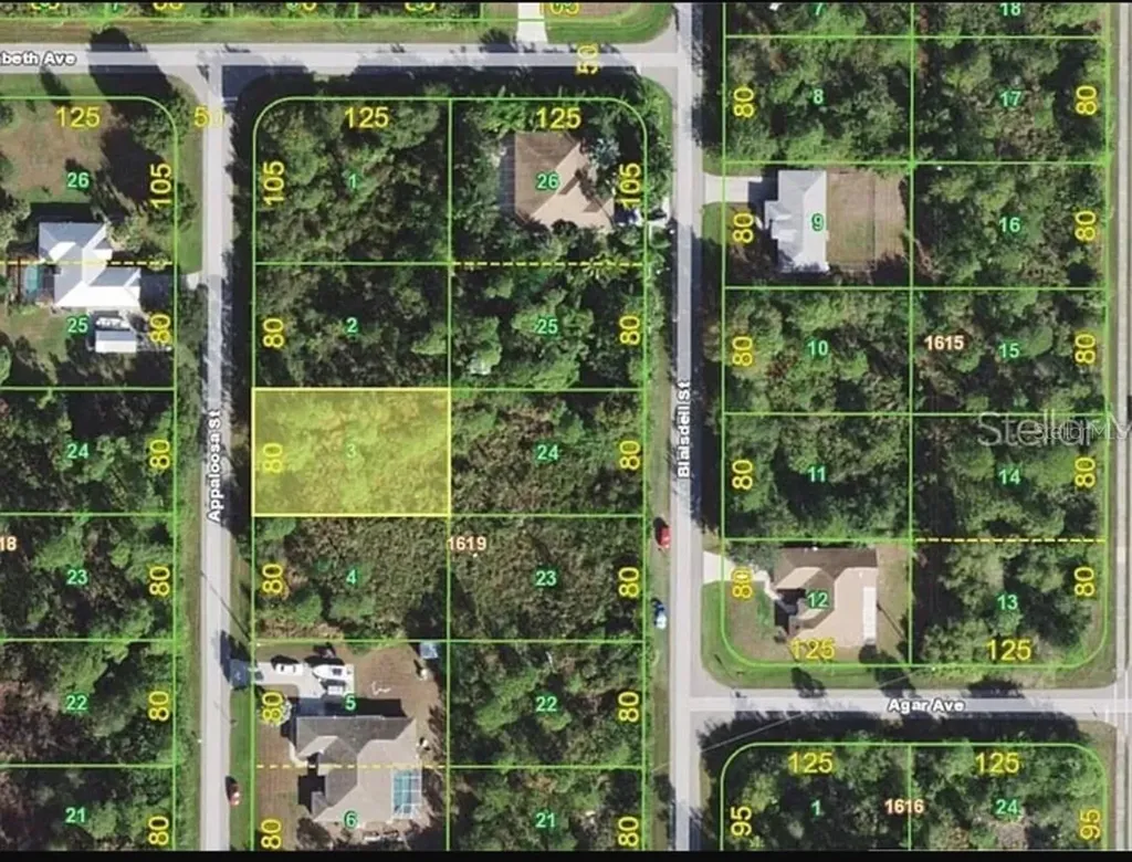 1382 Appaloosa Street Punta Gorda FL 33980